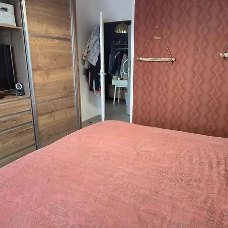 T3 Cosy Ajaccio (Corsica)