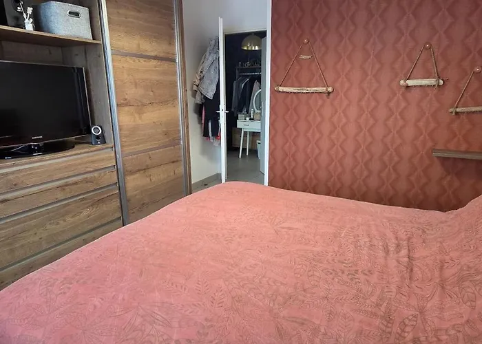 T3 Cosy Ajaccio (Corsica)