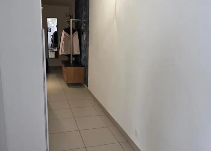 T3 Cosy Ajaccio (Corsica)