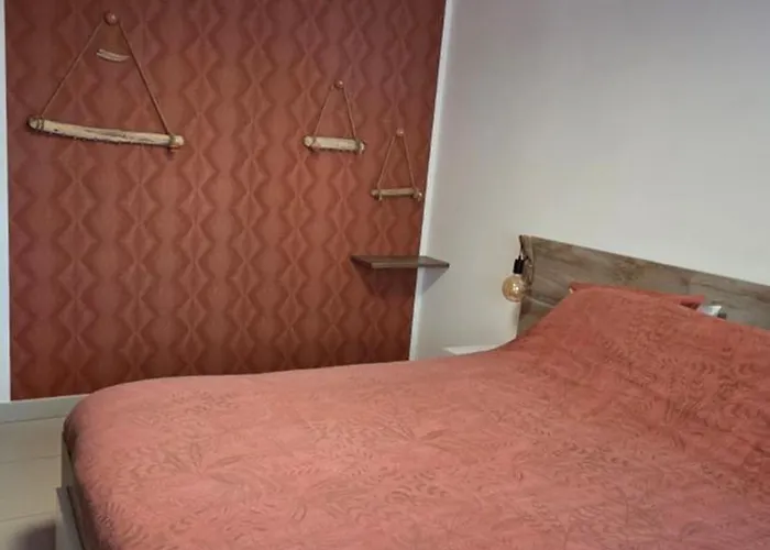 T3 Cosy Ajaccio (Corsica)