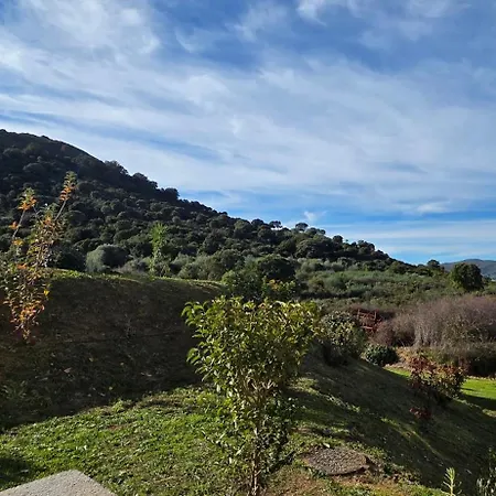 T3 Cosy * Ajaccio (Corsica)