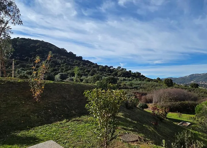 T3 Cosy * Ajaccio (Corsica)